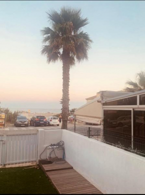 SUN 7 BEACH VIEW PALAVAS - Acces direct plage